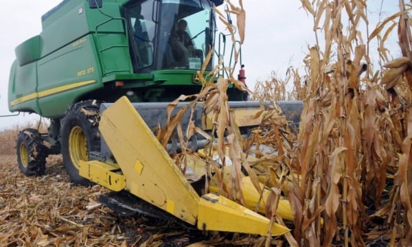 Ukraine corn, wheat exports will plummet further, U.S.says
