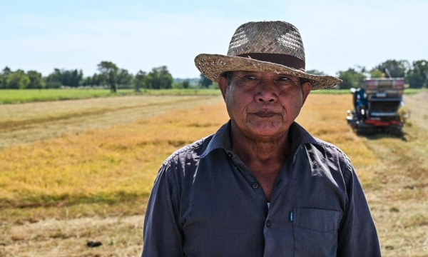 Rice and the Climate Crisis: Thai rice farmers struggle against climate-driven challenges