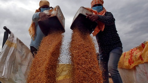 U.S., Europe race to improve food supply chains after India bans wheat exports