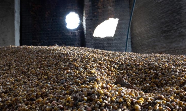 US& allies struggle to come up with plans to get vital grain supplies out of Ukraine