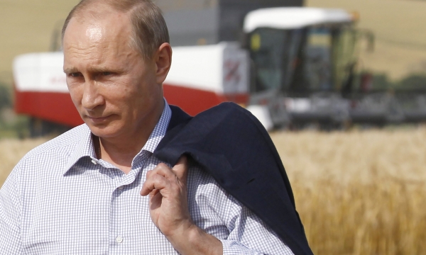 Putin ‘mặc cả’ việc mở lại các cửa ngõ xuất khẩu ngũ cốc của Ukraine
