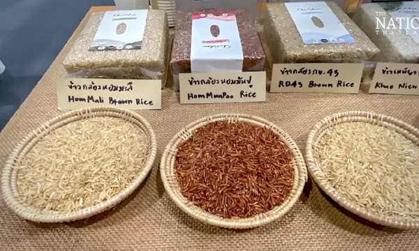 Thái Lan ‘trình làng’ nhiều loại gạo mới
