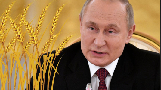 Ông Putin: Các chính sách 'ngu ngốc, thiển cận' của EU gây khủng hoảng lương thực