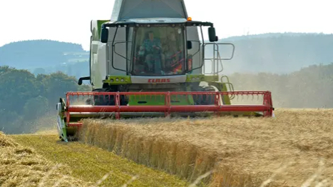 Using far less chemical fertiliser still produces high crop yields, study finds