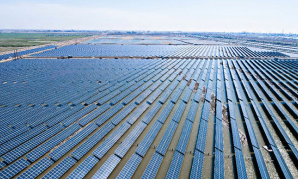 A fishery in China just deployed a giant 70MW solar plant