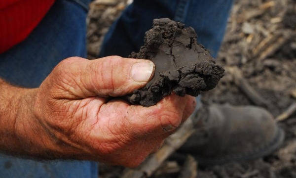 9 tips for improving soil health on your farm