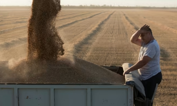 Nguy cơ 100 triệu tấn lúa mì Nga 'chất đống tại nhà'