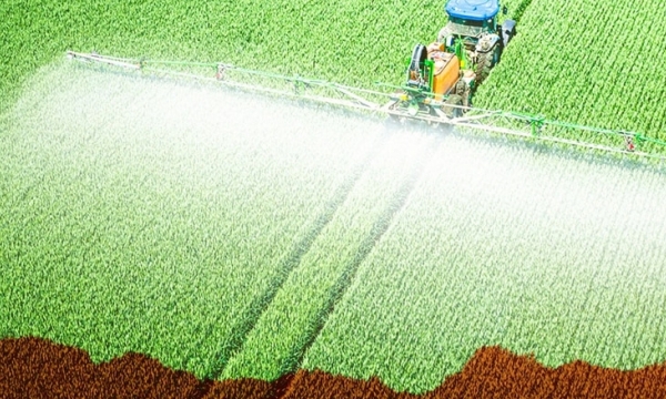 Expert sees fertilizer crisis, Chinese demand increasing