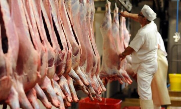 Thị trường thịt lợn cuối năm 'giá tốt nhưng rất nhiều áp lực'