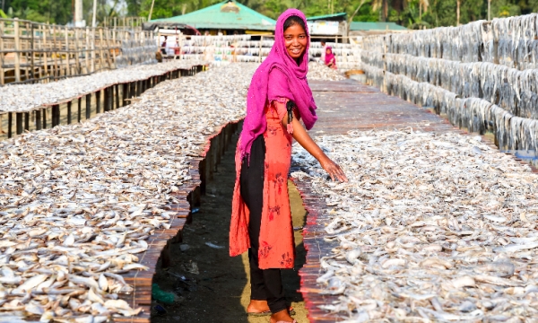 World Fisheries Day: FAO and the Vatican urge social protection for fishers