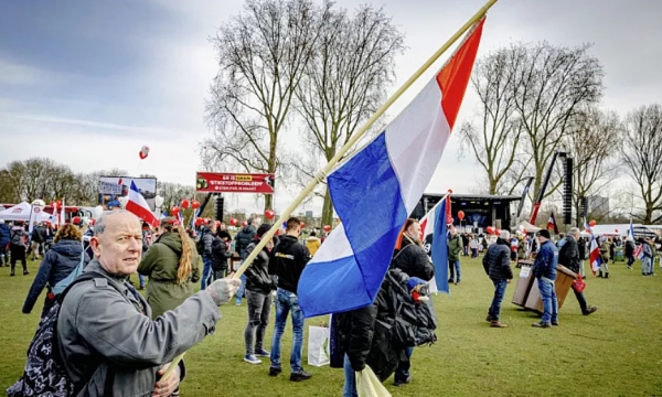 Dutch farmer protests: Emissions regulations lead to rise of new political movement