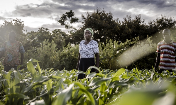 Women’s equality in agrifood systems could boost the global economy by $1 trillion