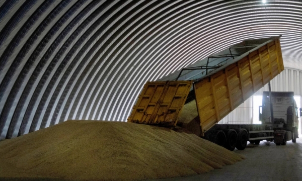 Poland and Hungary ban Ukrainian grain amid glut from neighbor