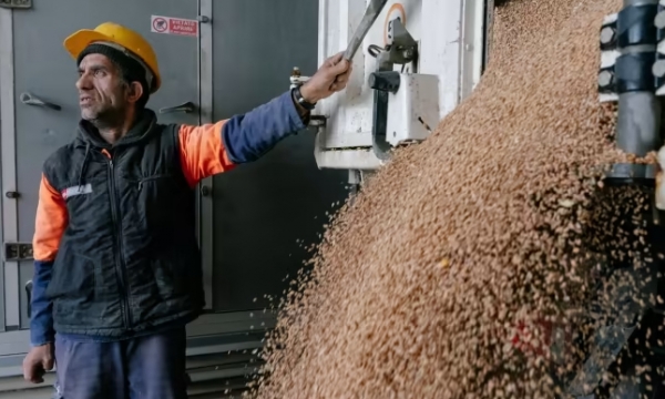 Poland under fire for banning Ukrainian grain imports