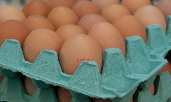 Australia: Rapid phase-out of eggs from caged layers meets resistance
