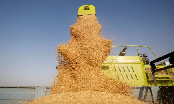 Govt to release 7.5 million tonnes of grains to cool prices