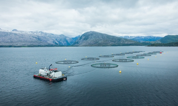 Nova Sea moving ahead with construction of $190 million facility despite new 25% Norwegian salmon tax
