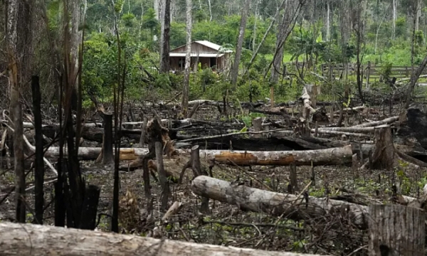Why the Global South is against the EU's anti-deforestation law