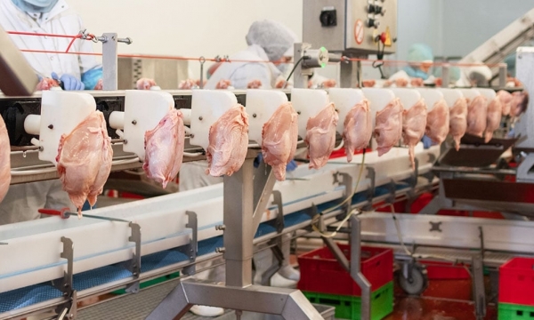 Russia’s poultry prices remain high, bird flu tightens its grip