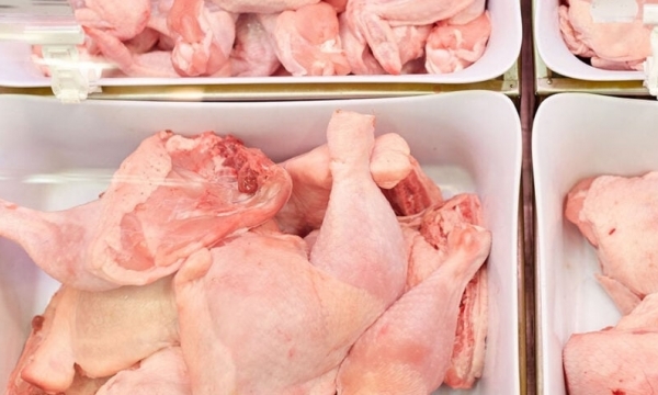 Russia approves duty-free poultry imports