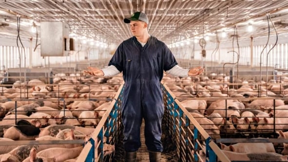 Pork producer gives consumers a peek behind the curtain through social media