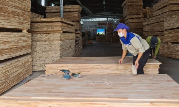 EUDR - Cơ hội và thách thức cho ngành công nghiệp chế biến gỗ