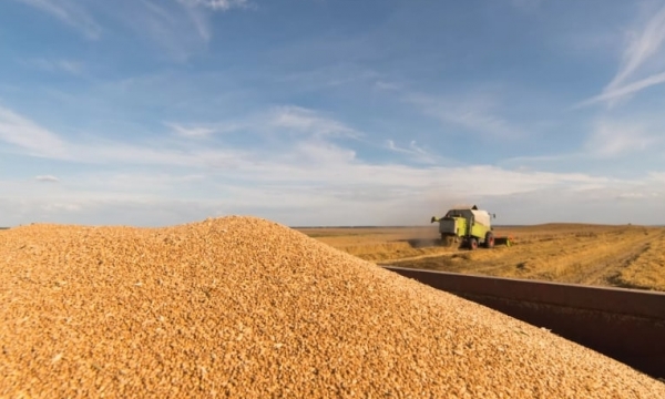 Ukraine harvests 78.7M t of new crops