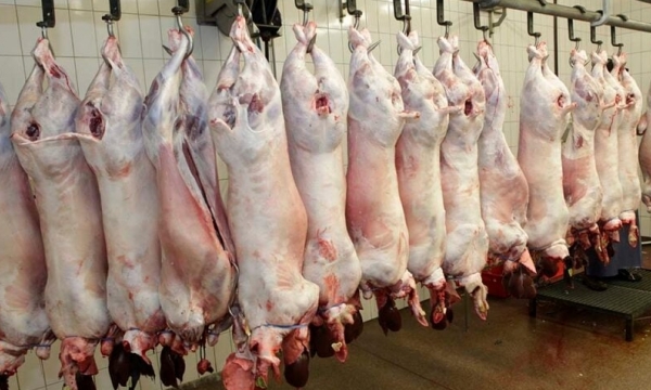 USDA wins new swine inspection system lawsuit