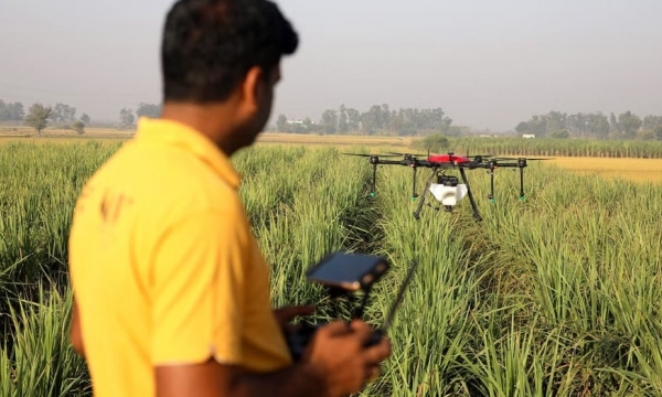 Indian farm workers are being replaced by drones. They fear a much darker future