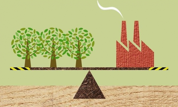 Carbon offsetting is a last resort, not a silver bullet