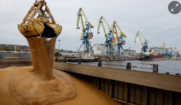 EU to impose tariff of up to 50% on Russia grain imports