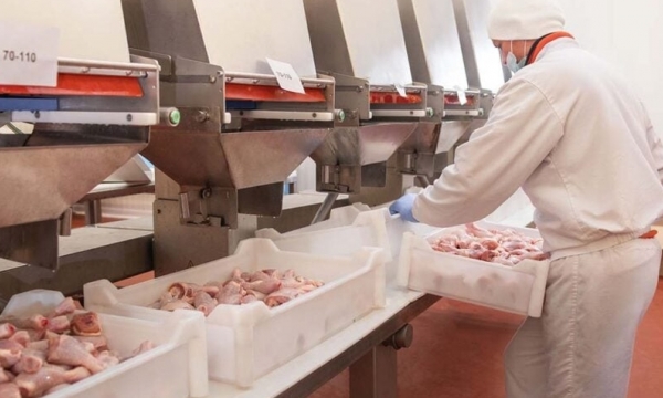 Russia has seemingly overcome the poultry crisis