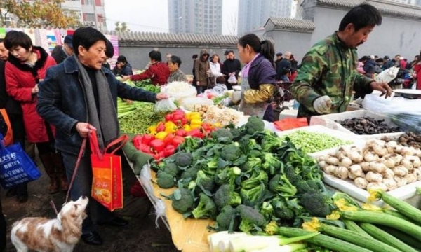 China vegetables and fruits market to exceed valuation of USD 2,398.5 billion by 2032