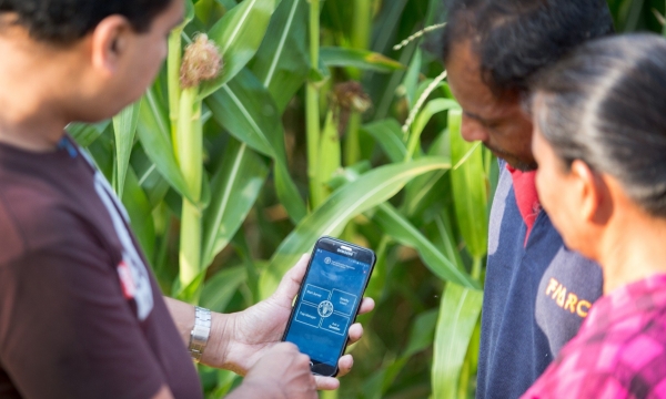 FAO puts focus on importance of technology for International Day of Plant Health