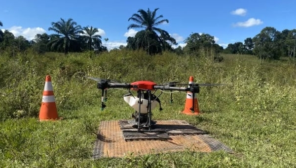 Are seed-sowing drones the answer to global deforestation?