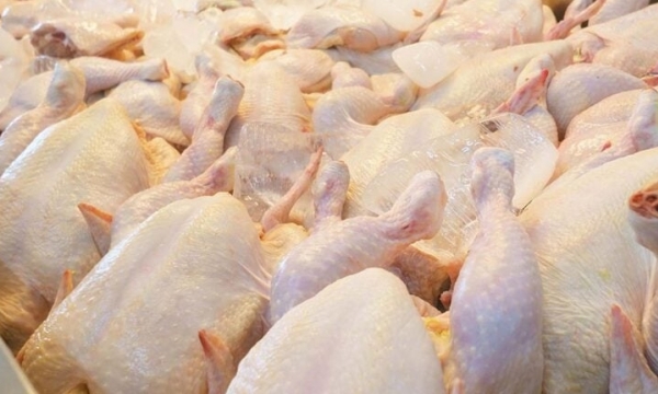Capturing investment opportunities in Asia’s poultry supply chain