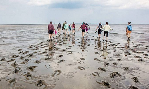 Biển Wadden - Địa điểm du lịch vô cùng thú vị