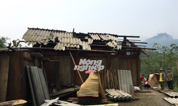 Tuyên Quang: 66 nhà dân bị tốc mái do mưa kèm gió lốc