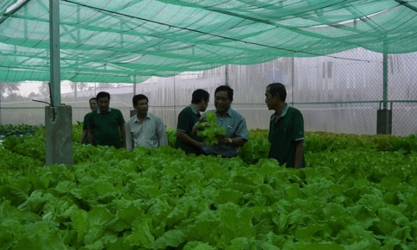 Kiên Giang: Khai trương cửa hàng nông sản hữu cơ khép kín