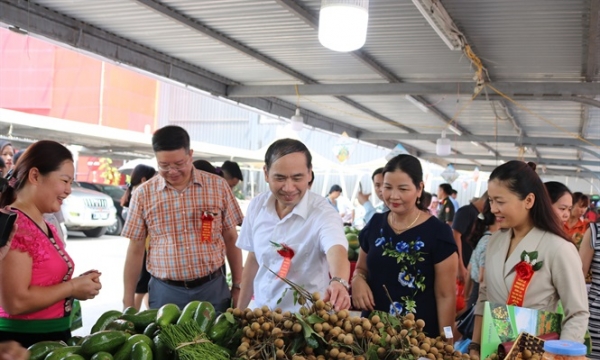 21 doanh nghiệp, HTX tham gia tuần lễ Nhãn và nông sản an toàn tỉnh Sơn La 2019