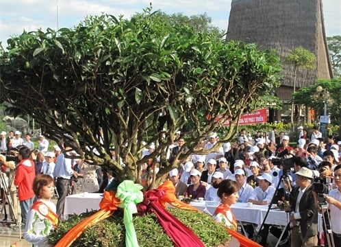 Festival chè Thái Nguyên: Hội chưa hay, sạn cũng có
