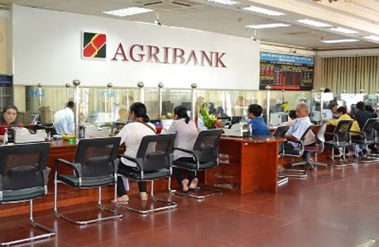 Agribank giảm lãi suất cho vay đối với nông dân trồng hồ tiêu