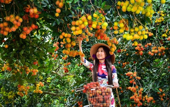 Lễ hội trái cây Long Khánh 2019