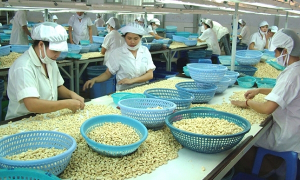 Nông sản Việt - Gã khổng lồ không tiếng tăm?