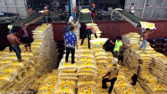 Lúa thơm Việt Nam sốt trên đất Thái, thị trường gạo thế giới vẫn khó lường
