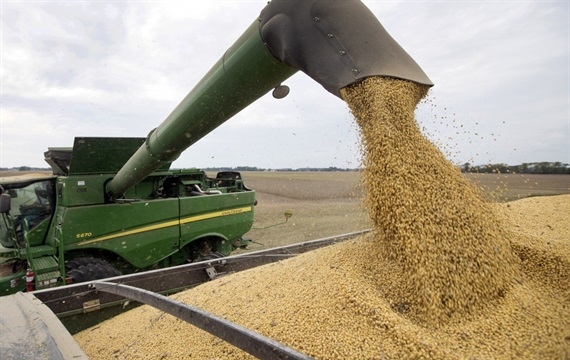 Trung Quốc tuyên bố dừng mua nông sản Mỹ