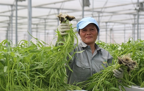 Nông nghiệp công nghệ cao: Phép màu Israel và giải pháp cho Việt Nam