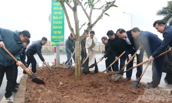 Học viện Nông nghiệp Việt Nam phấn đấu trồng mới 10.000 cây xanh trong năm 2024