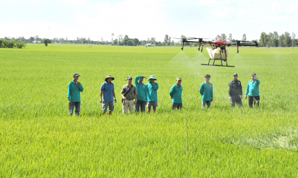 Vực dậy hợp tác xã nông nghiệp:(Bài 2) Ứng dụng công nghệ 4.0 canh tác lúa