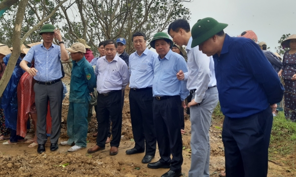 Hỗ trợ người trồng thanh trà ở Thừa Thiên- Huế khắc phục thiệt hại